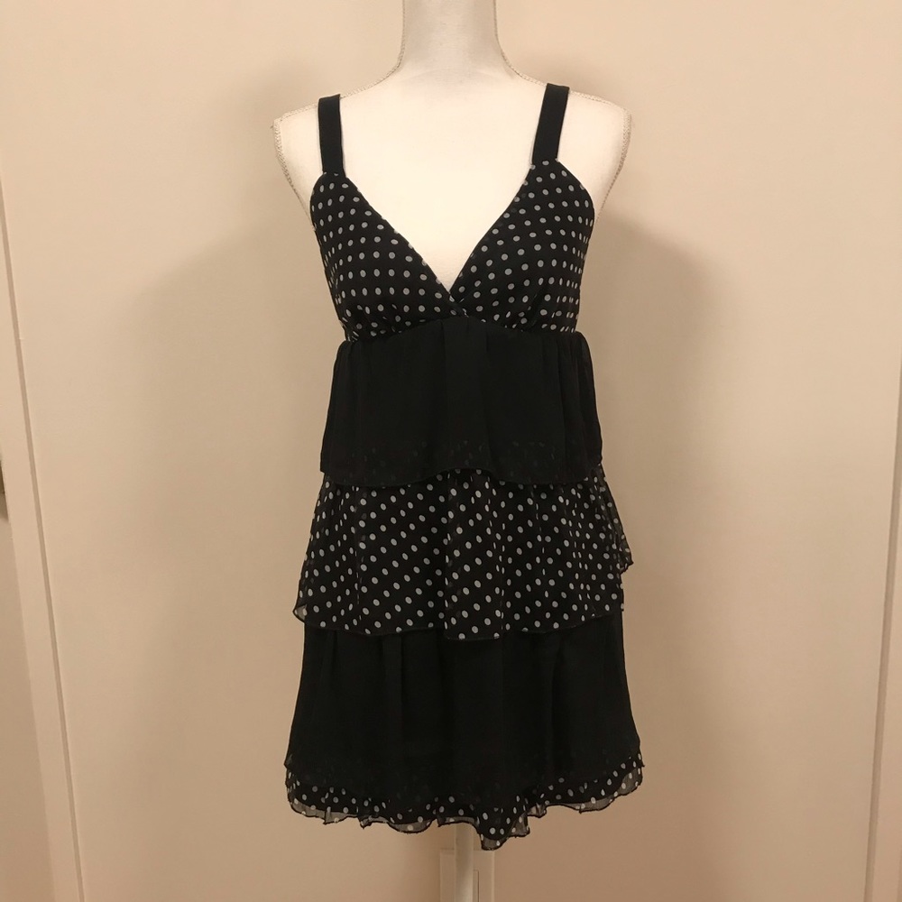 Vintage Classic v-neck polkadot layer sheer dress